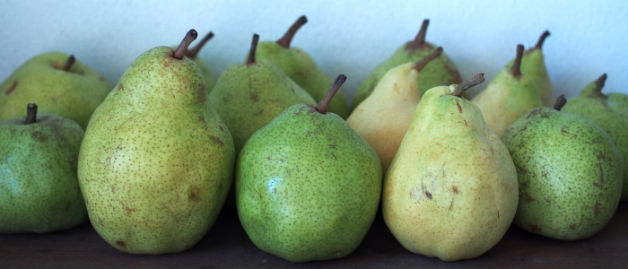 pears