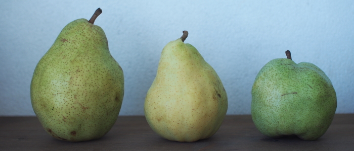 pears